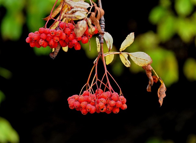 Hình ảnh minh họa ý nghĩa của từ étude