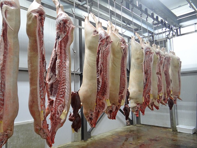Hình ảnh minh họa ý nghĩa của từ abattoir