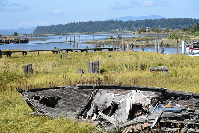 Hình ảnh minh họa ý nghĩa của từ abound with