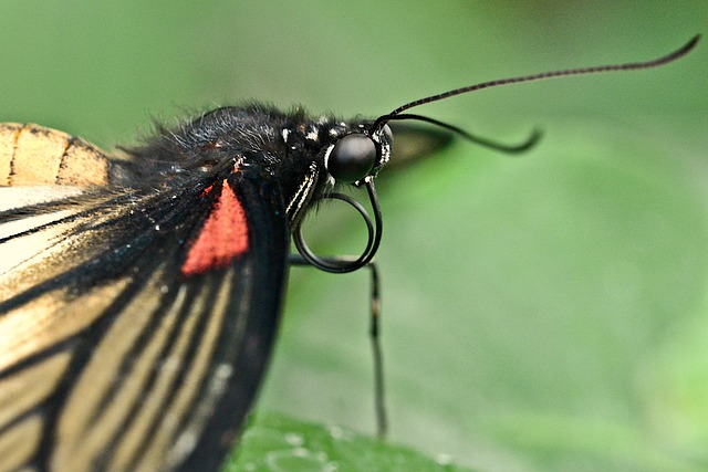 Hình ảnh minh họa ý nghĩa của từ absorbent