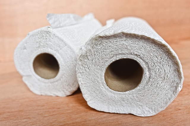 Hình ảnh minh họa ý nghĩa của từ absorbent paper