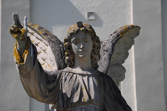 Hình ảnh minh họa ý nghĩa của từ accompaniment