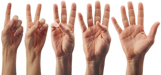 Hình ảnh minh họa ý nghĩa của từ account for