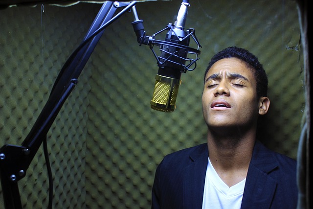 Hình ảnh minh họa ý nghĩa của từ acoustic booth