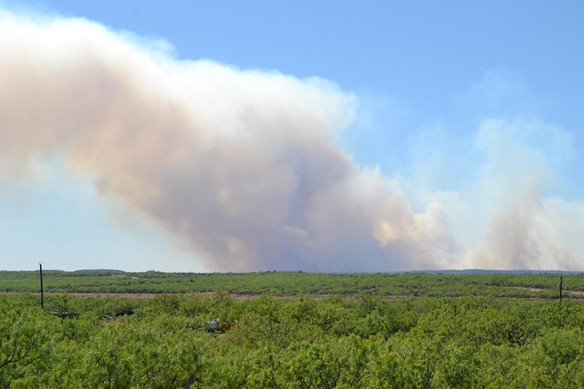 Hình ảnh minh họa ý nghĩa của từ acreage