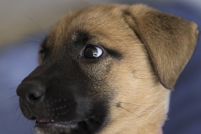 Hình ảnh minh họa ý nghĩa của từ act of aggression