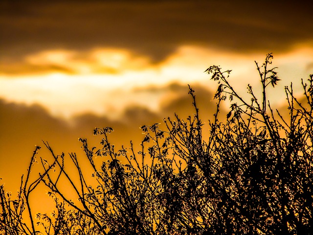 Hình ảnh minh họa ý nghĩa của từ actus reus