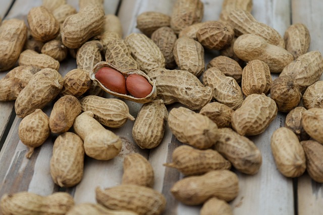 adequate nutrition