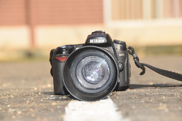 Hình ảnh minh họa ý nghĩa của từ adulate