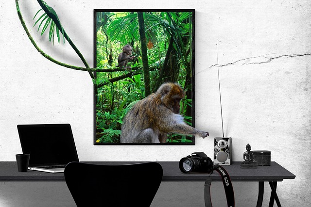 Hình ảnh minh họa ý nghĩa của từ affinity