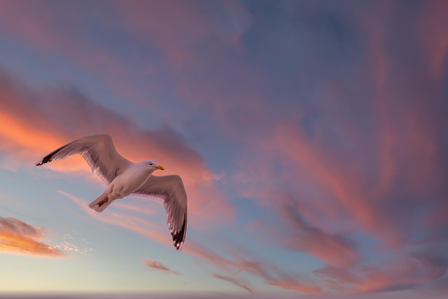 afterglow