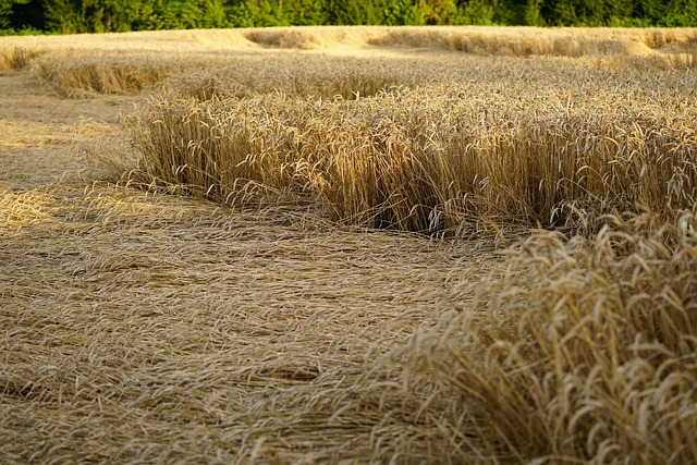 agricultural damage