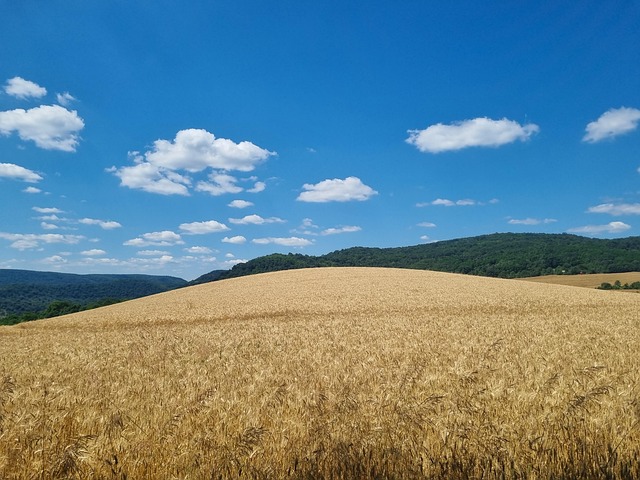 agricultural expansion