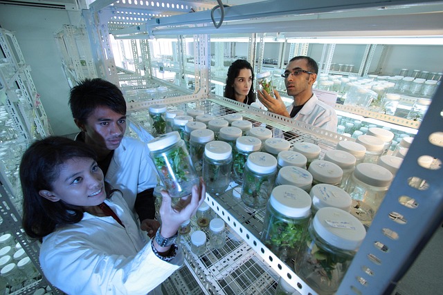 agricultural scientists