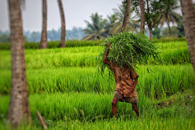 agricultural workers