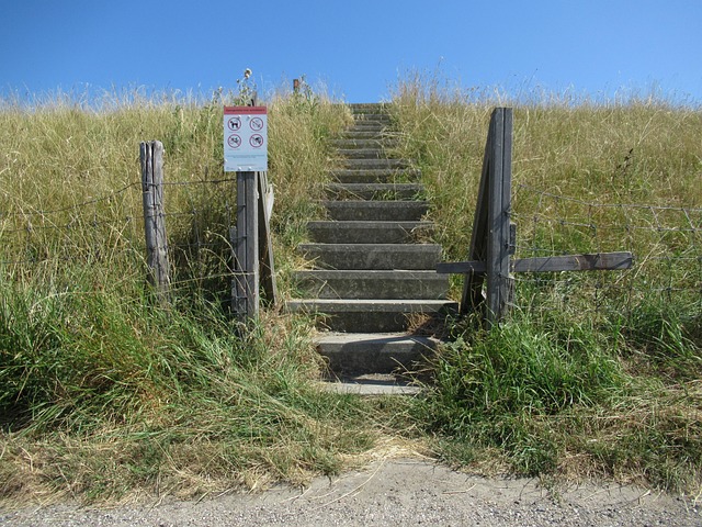 Hình ảnh minh họa ý nghĩa của từ aimlessly