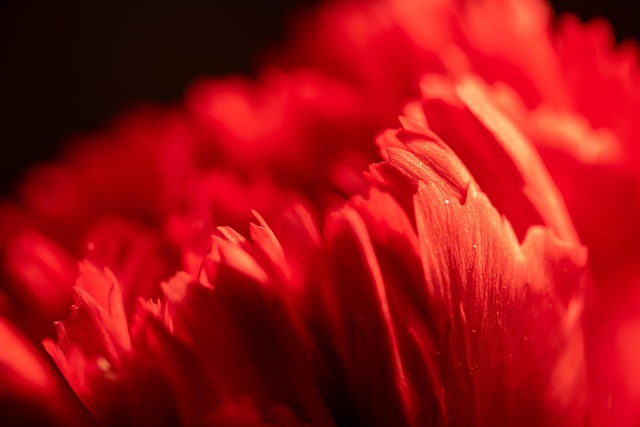 Hình ảnh minh họa ý nghĩa của từ alive