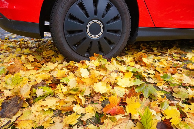 Hình ảnh minh họa ý nghĩa của từ all-season tires