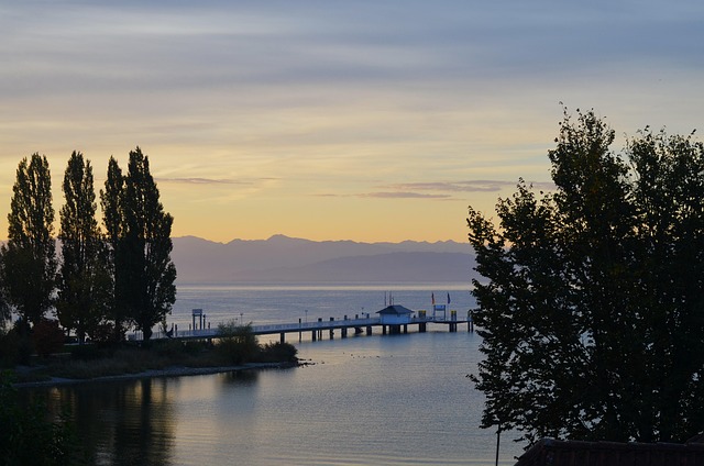 Hình ảnh minh họa ý nghĩa của từ alleged