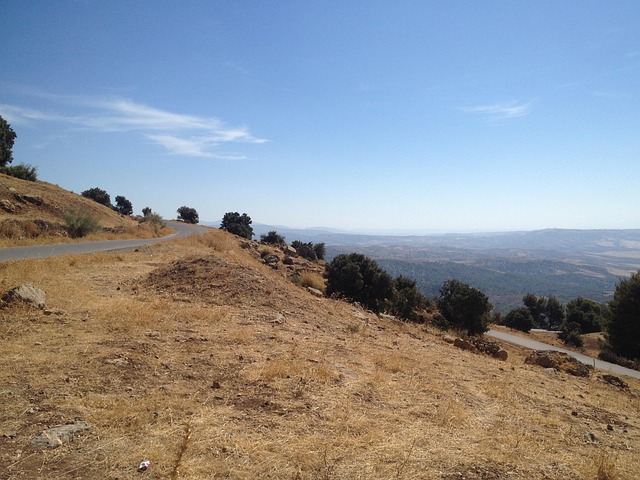 Hình ảnh minh họa ý nghĩa của từ alumnus