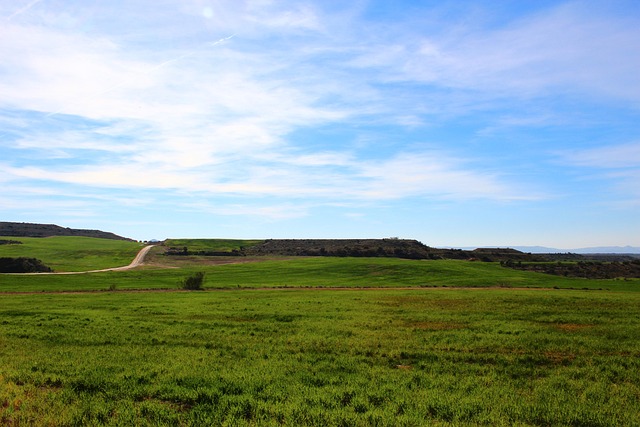 Hình ảnh minh họa ý nghĩa của từ amplitude