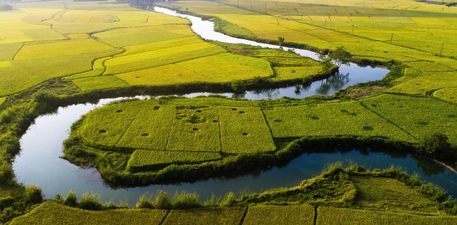 Hình ảnh minh họa ý nghĩa của từ anal sphincter