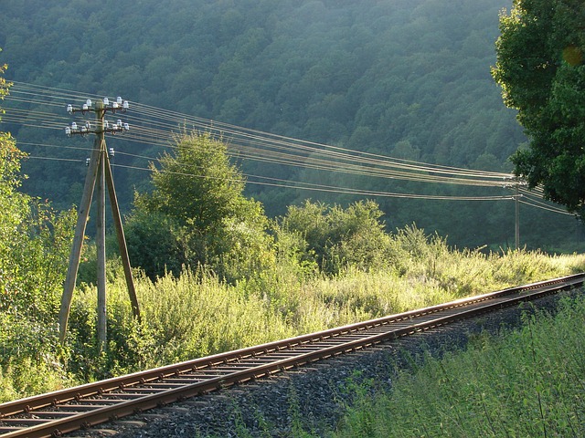 analog signal