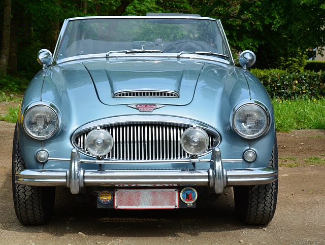 Hình ảnh minh họa ý nghĩa của từ ancestors