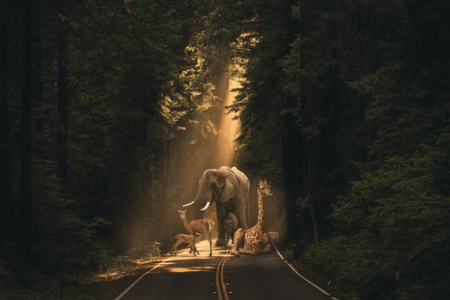 Hình ảnh minh họa ý nghĩa của từ anecdotal