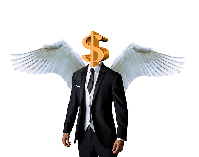 Hình ảnh minh họa ý nghĩa của từ angel investor
