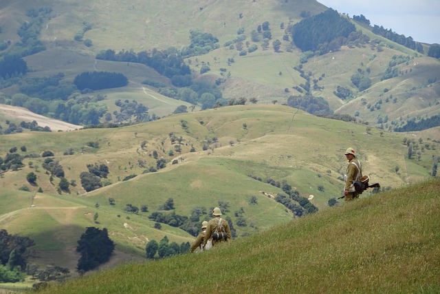 Hình ảnh minh họa ý nghĩa của từ anglo