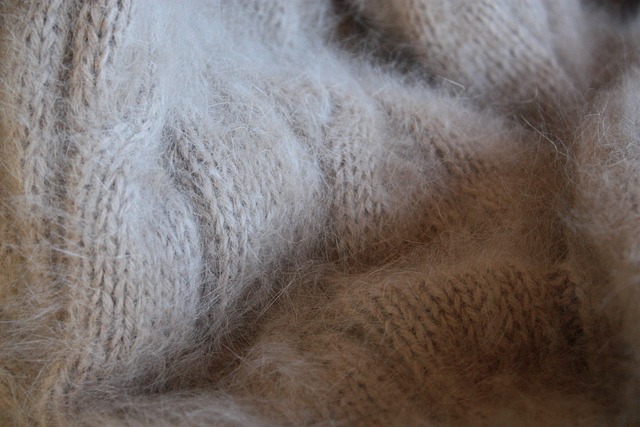 angora wool