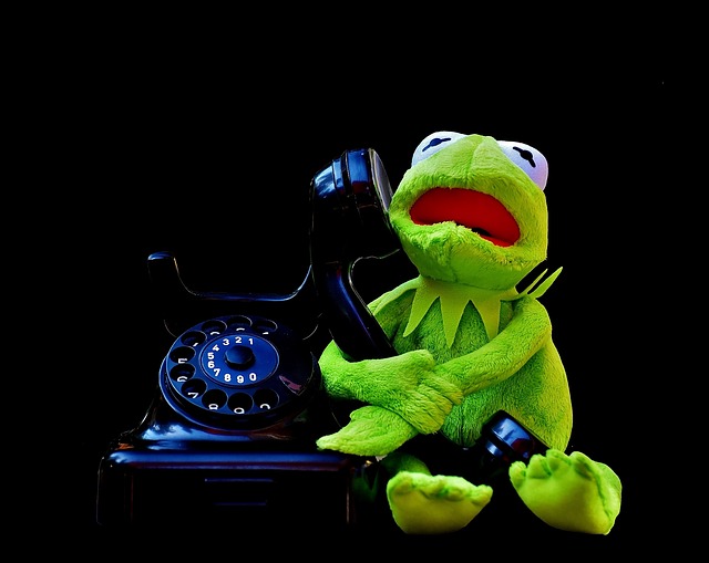animal call