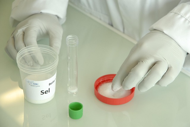 Hình ảnh minh họa ý nghĩa của từ animal experimentation