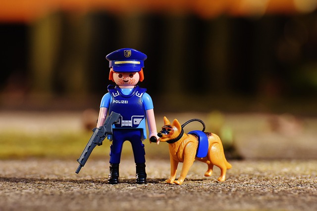 animal handler