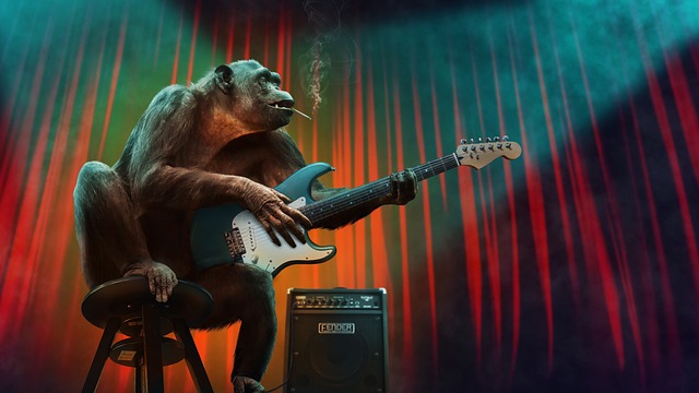 animal performance