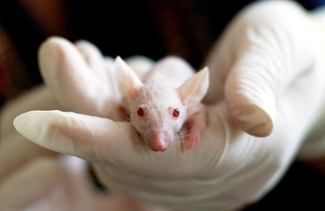 animal researcher