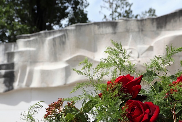 Hình ảnh minh họa ý nghĩa của từ anti-fascist