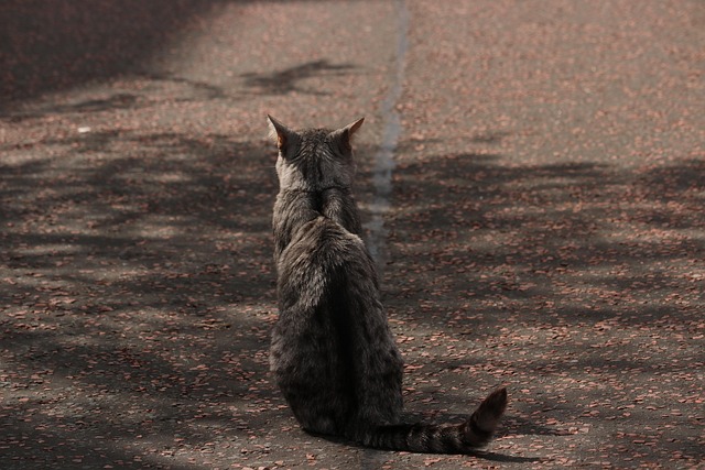 Hình ảnh minh họa ý nghĩa của từ antisocial behavior