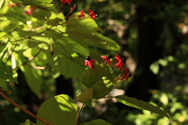 Hình ảnh minh họa ý nghĩa của từ anything but