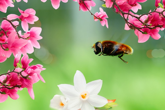 Hình ảnh minh họa ý nghĩa của từ apostate