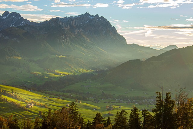 Hình ảnh minh họa ý nghĩa của từ appeal