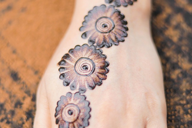 Hình ảnh minh họa ý nghĩa của từ apply