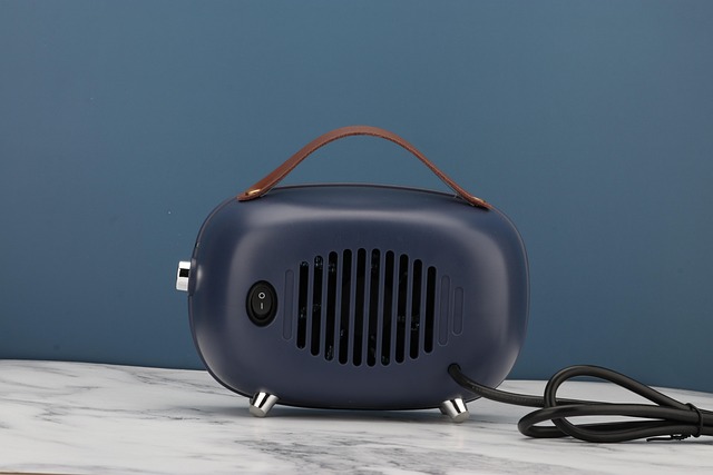 aquarium heater