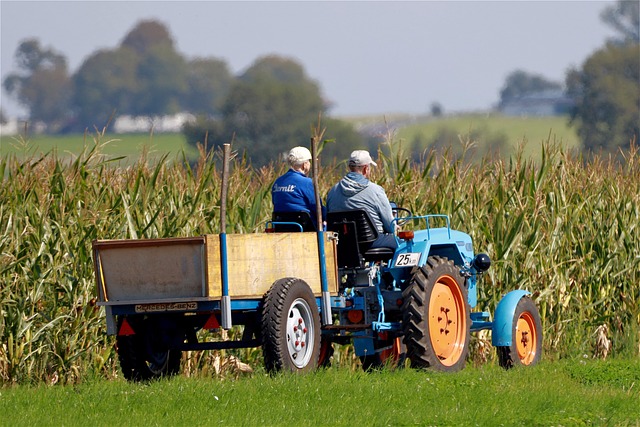 arable farmer