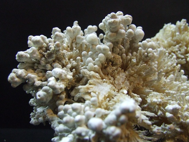 Hình ảnh minh họa ý nghĩa của từ aragonite