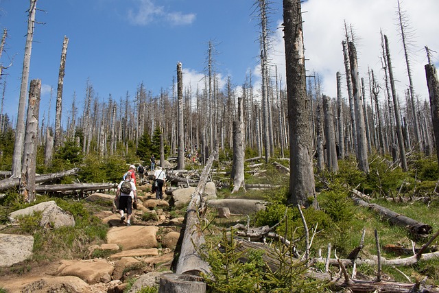 Hình ảnh minh họa ý nghĩa của từ arduous