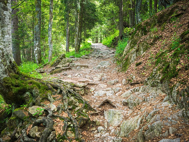 arduous path