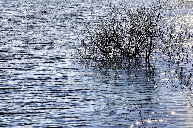 Hình ảnh minh họa ý nghĩa của từ argent