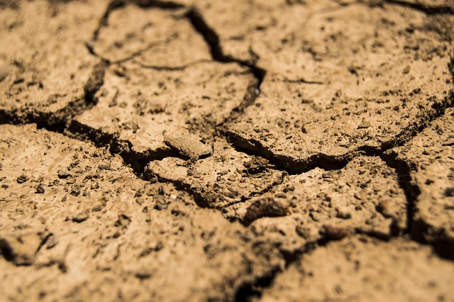 arid climate